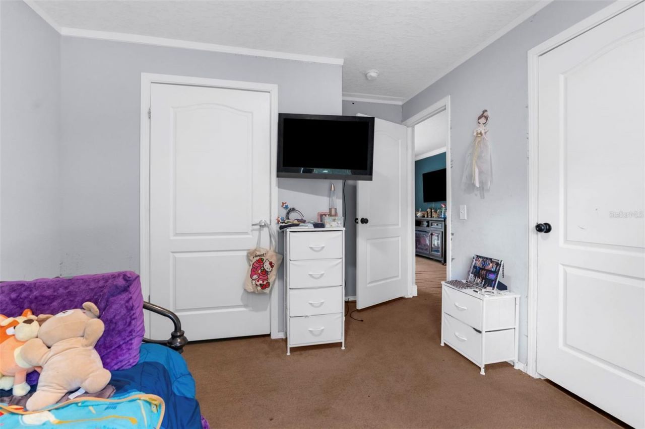 17155 Dalberg Drive, Spring Hill, FL 34610 Photo