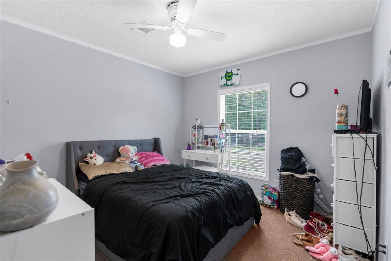 17155 Dalberg Drive, Spring Hill, FL 34610 Photo