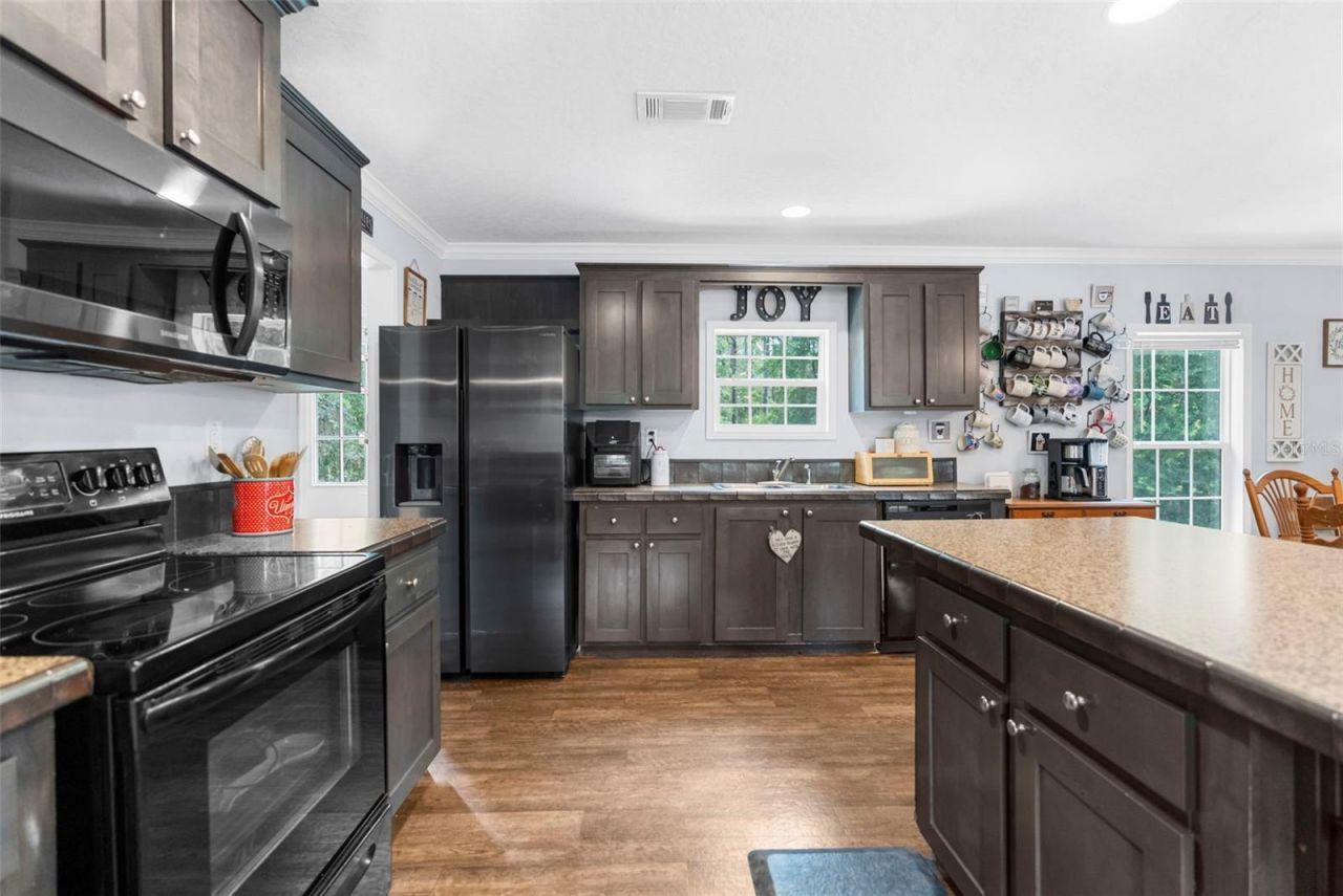 17155 Dalberg Drive, Spring Hill, FL 34610 Photo