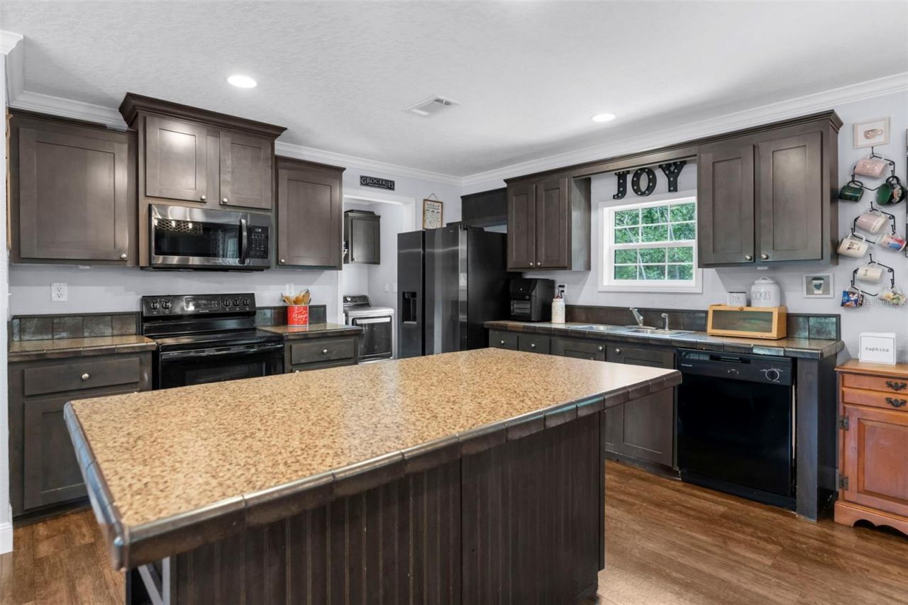 17155 Dalberg Drive, Spring Hill, FL 34610 Photo