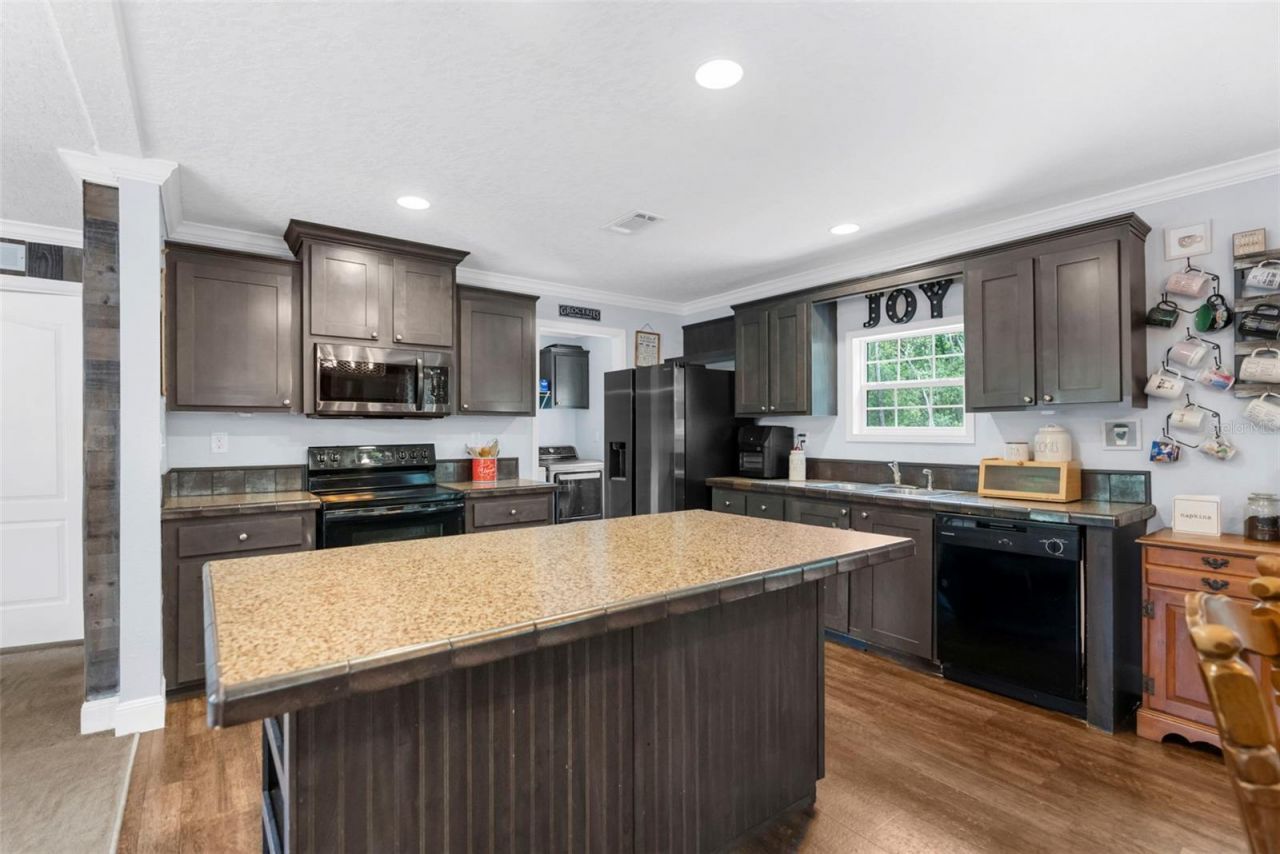 17155 Dalberg Drive, Spring Hill, FL 34610 Photo