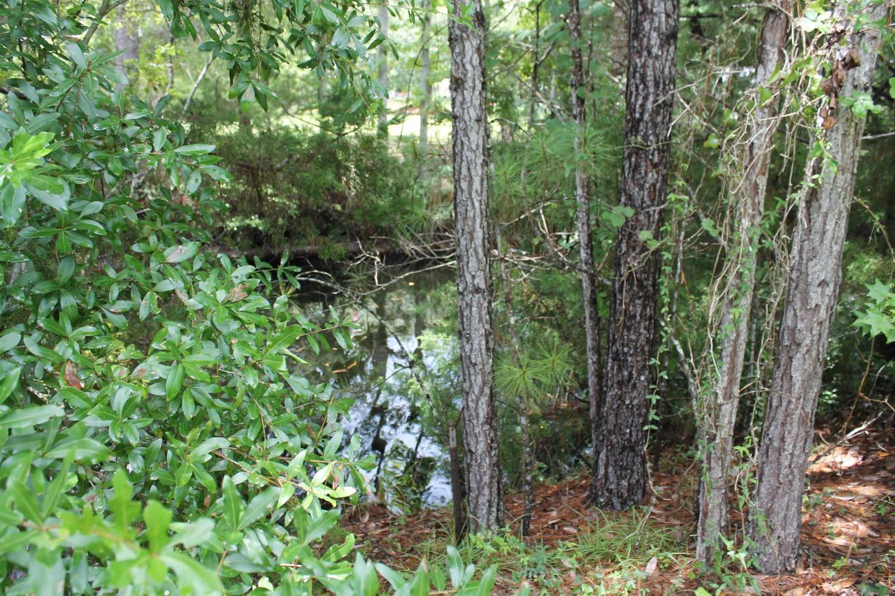 90 Mathis Road, Sopchoppy, FL 32358 Photo