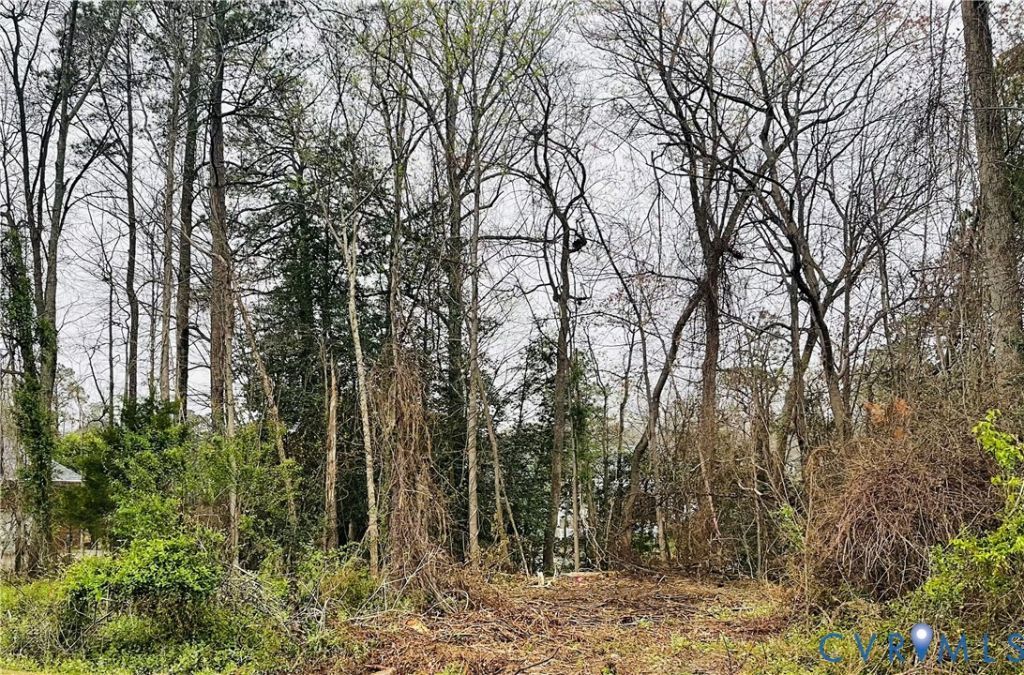 10706 Kriserin Circle, Chester, VA 23831 Main Photo