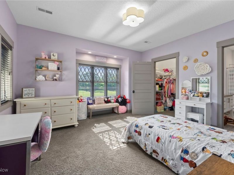 455 Via Avellino Street, North Lima, OH 44452 Photo 27