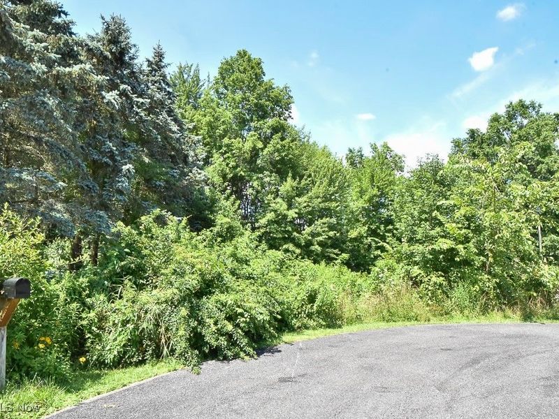 V/L Eddy Court, Orwell, OH 44076 Photo 1