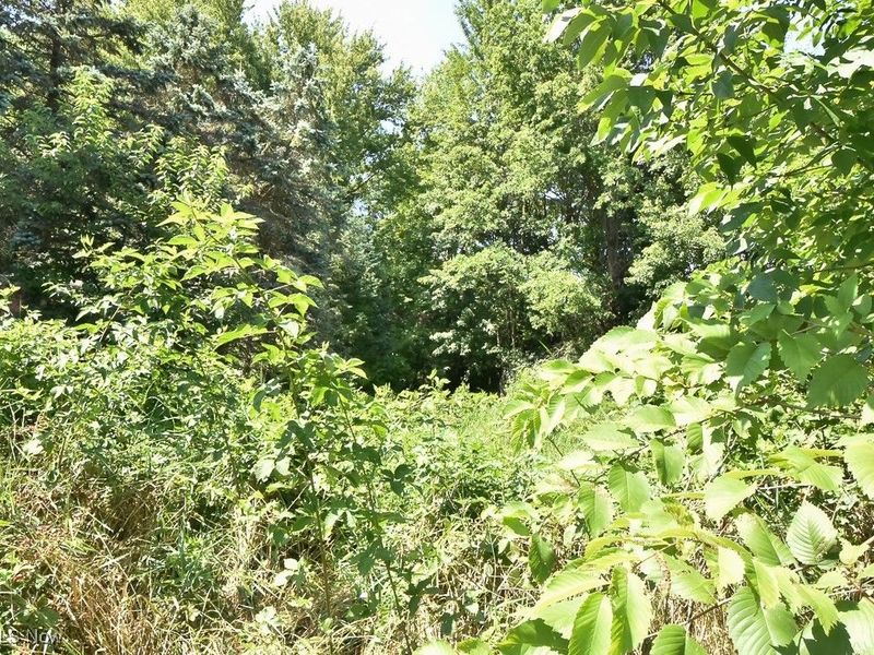 V/L Eddy Court, Orwell, OH 44076 Photo 3