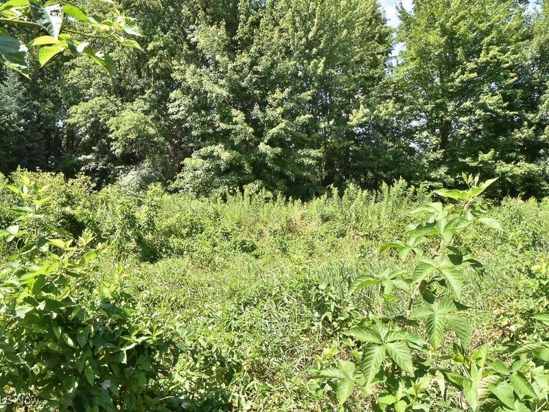 V/L Eddy Court, Orwell, OH 44076 Photo 4