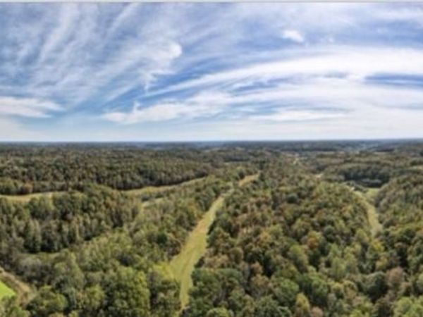 1448 Williams Hollow Rd, Pulaski, TN 38478