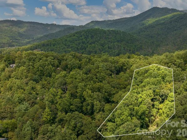 99999 Buffalo Trail, Asheville, NC 28805