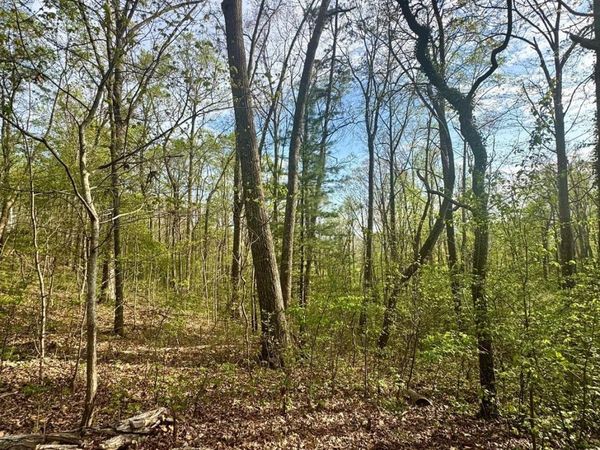 99999 Buffalo Trail, Asheville, NC 28805