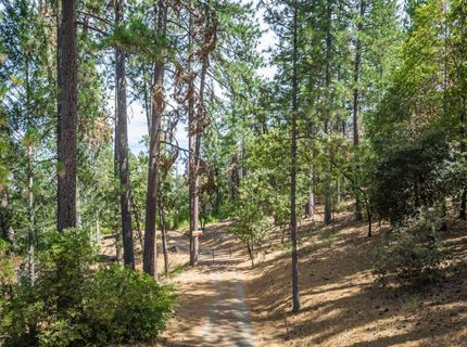 Heather Glen Dr, Applegate, CA 95703 Photo