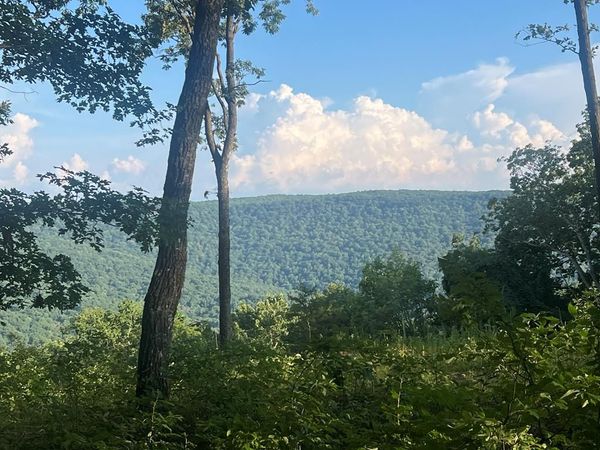 635 Cumberland Cove Road, Monterey, TN 38574