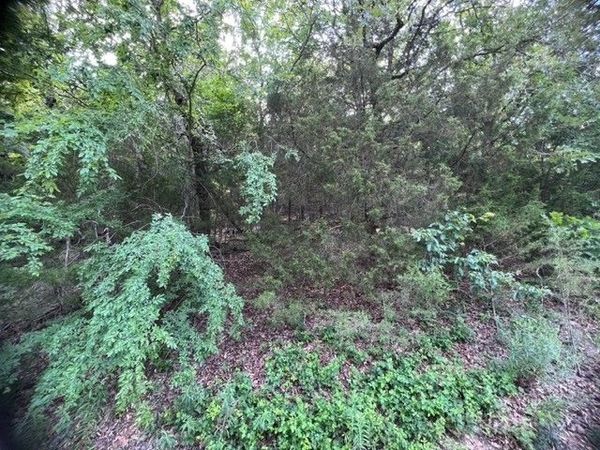 99 Starlite Avenue, Holiday Island, AR 72631