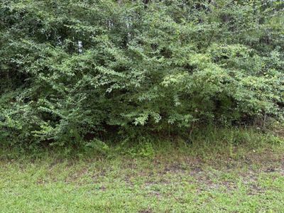 TBD Louisville Rd., Aynor, SC 29511