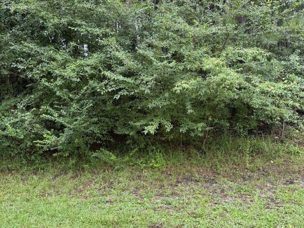 TBD Louisville Rd., Aynor, SC 29511