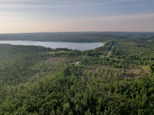 1308 S Magee Road, Vanderbilt, MI 49795