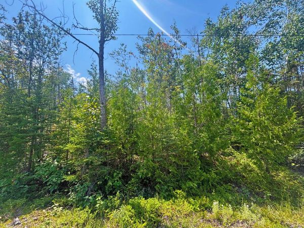 Lot 64 North Bay, Presque Isle, MI 49777