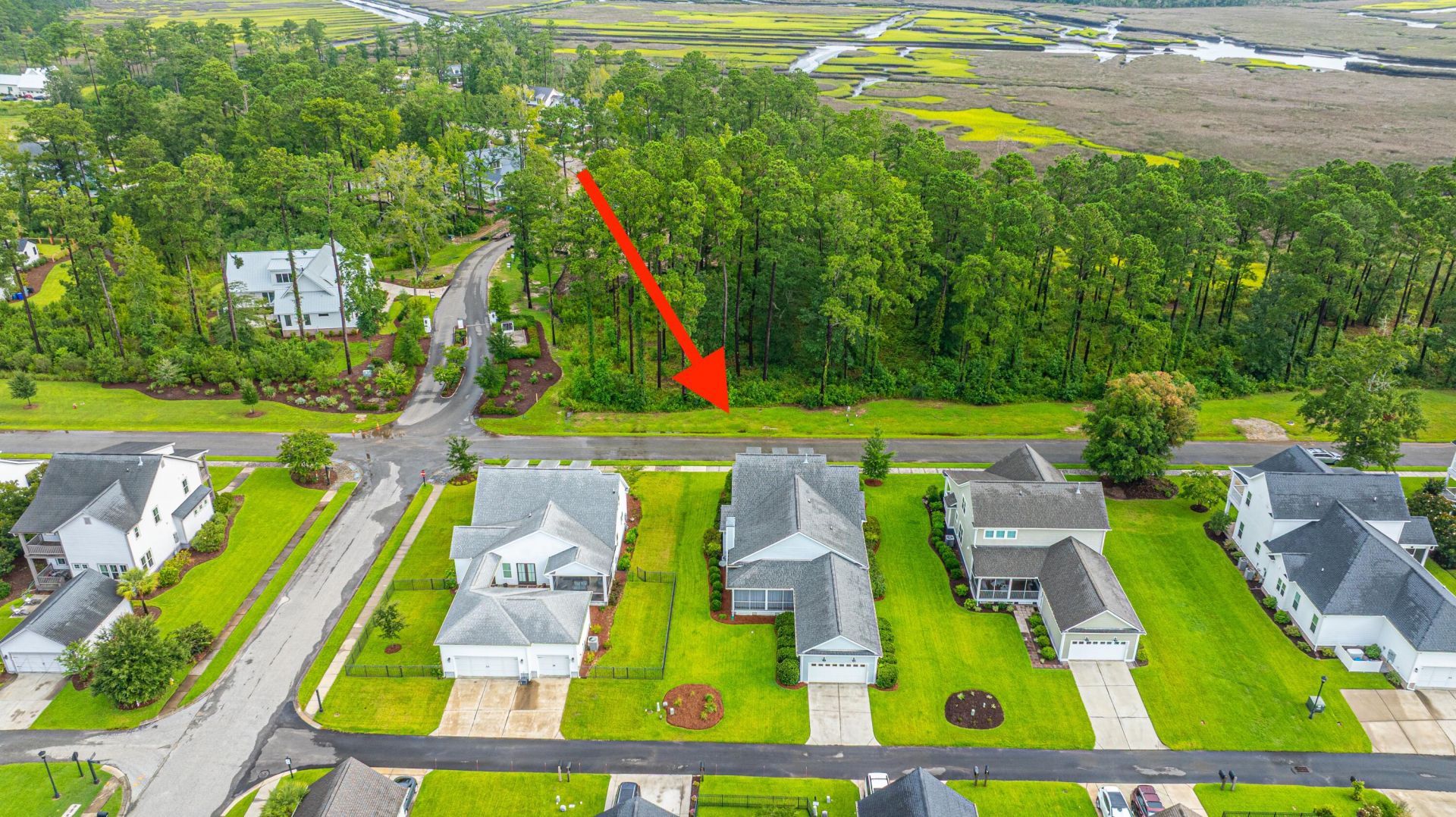 3984 Berberis Lane Photo 39