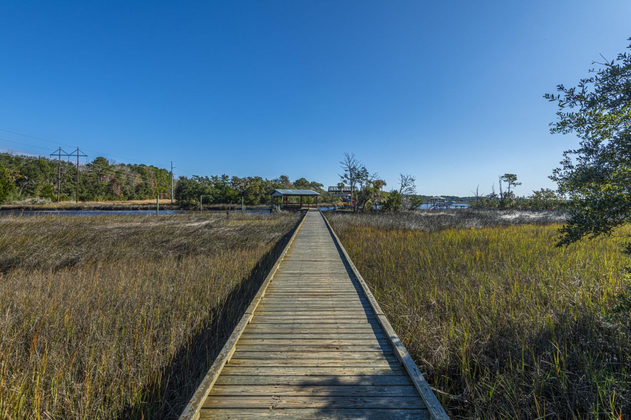 3984 Berberis Lane Photo 56