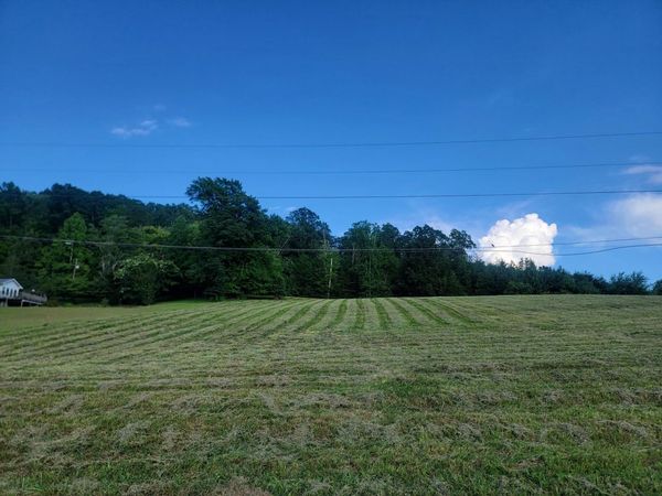 Lot 33 Hinch Street, Spring City, TN 37381