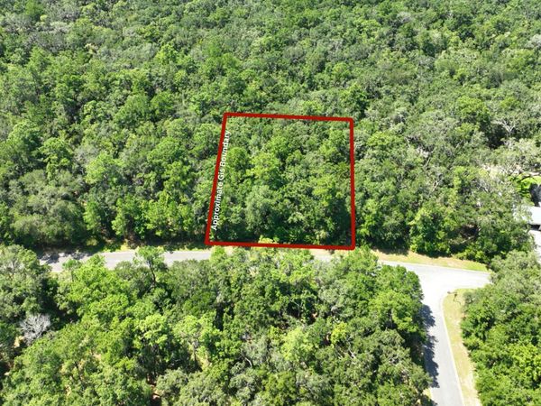 LOT 50 Tar Flower Trail, Waverly, GA 31565