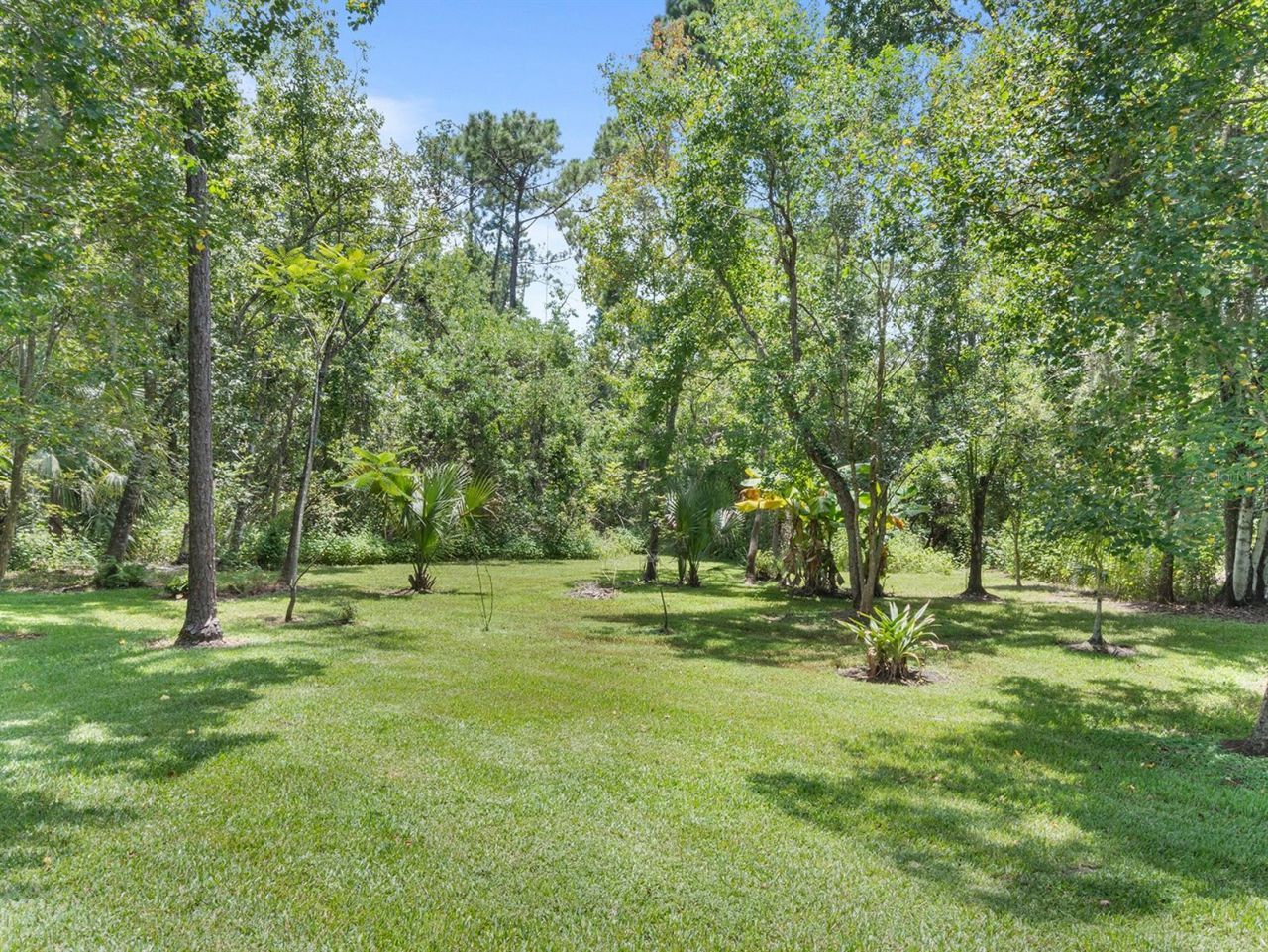 2401 Wassum Trail, Chuluota, FL 32766 Photo