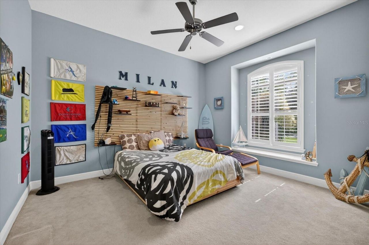 2555 Bryan Lane, Tarpon Springs, FL 34688 Photo