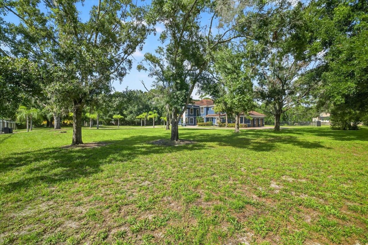 2555 Bryan Lane, Tarpon Springs, FL 34688 Photo