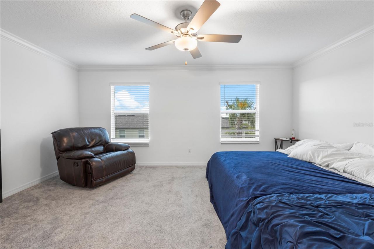 36515 Camp Fire Terrace, Zephyrhills, FL 33541 Photo