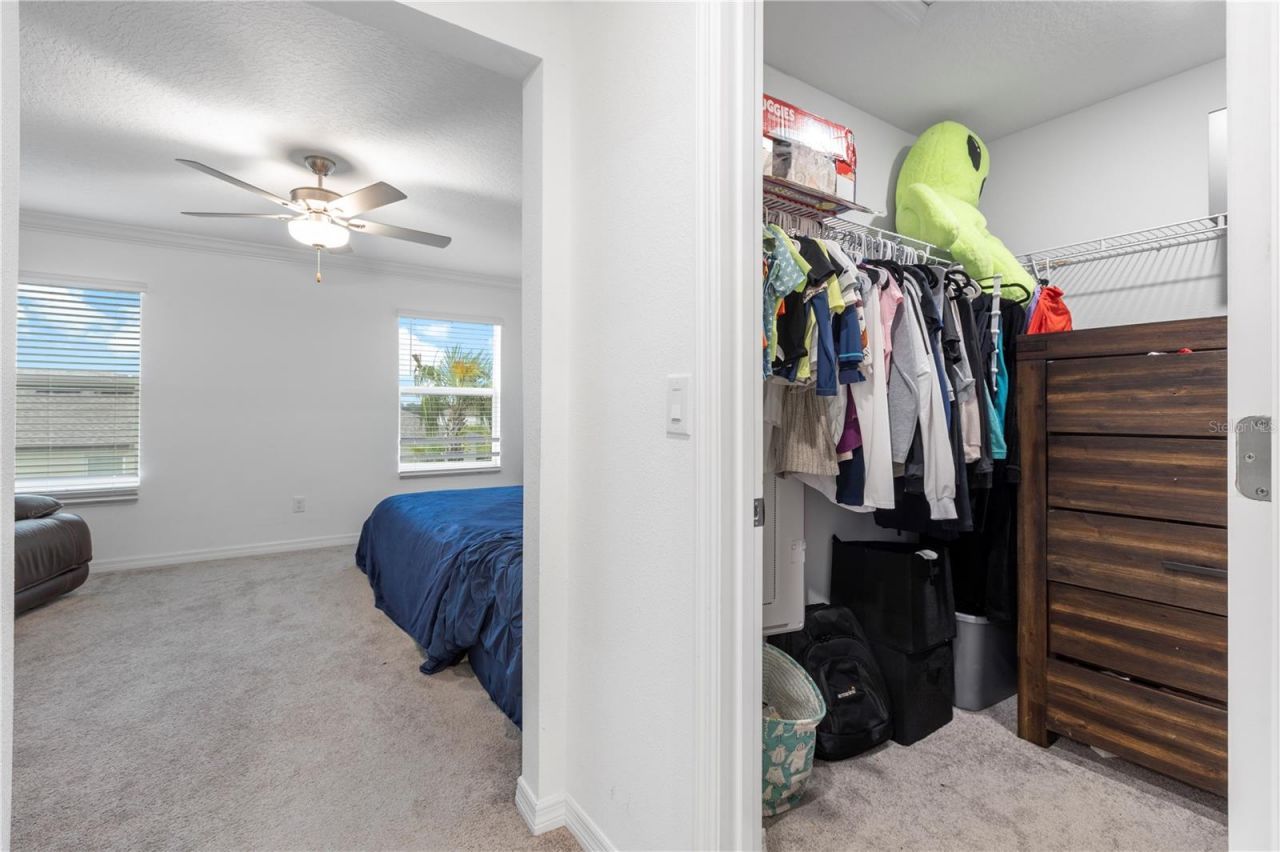 36515 Camp Fire Terrace, Zephyrhills, FL 33541 Photo
