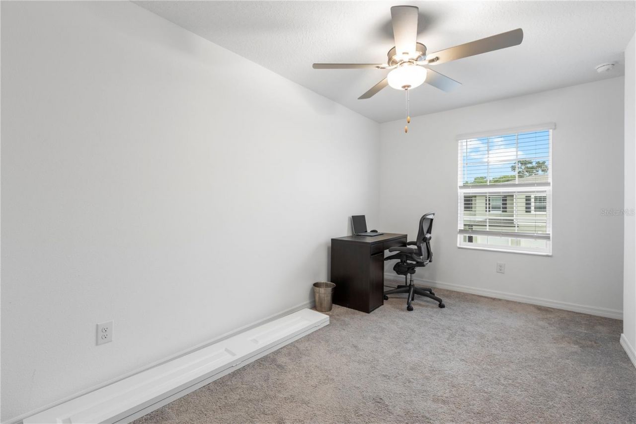36515 Camp Fire Terrace, Zephyrhills, FL 33541 Photo