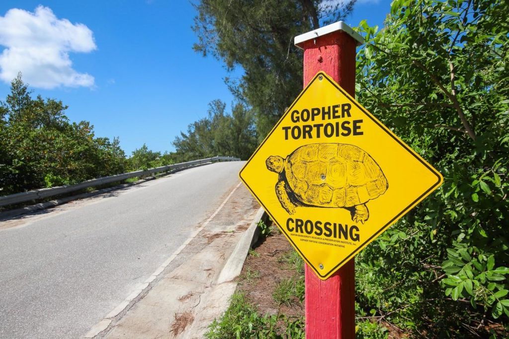 161 S Gulf Boulevard, Placida, FL 33946 Photo