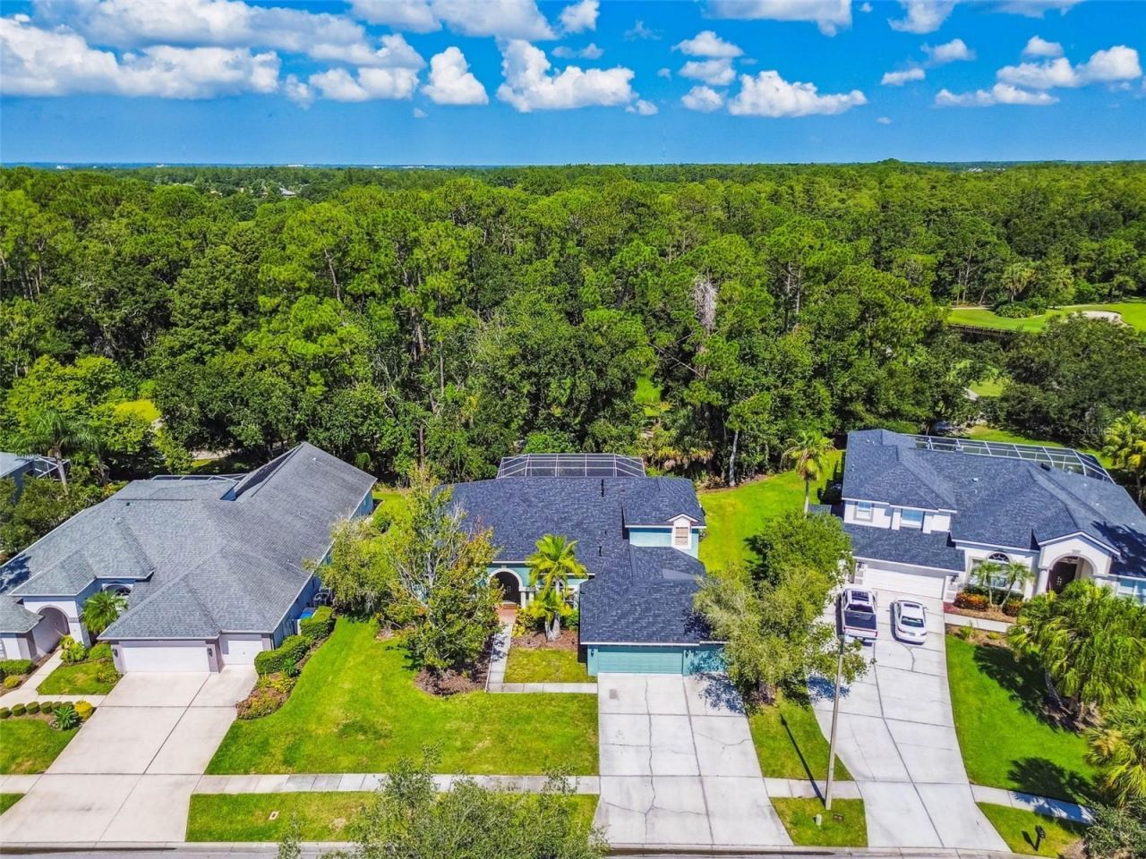 10526 Greencrest Drive, Tampa, FL 33626 Photo