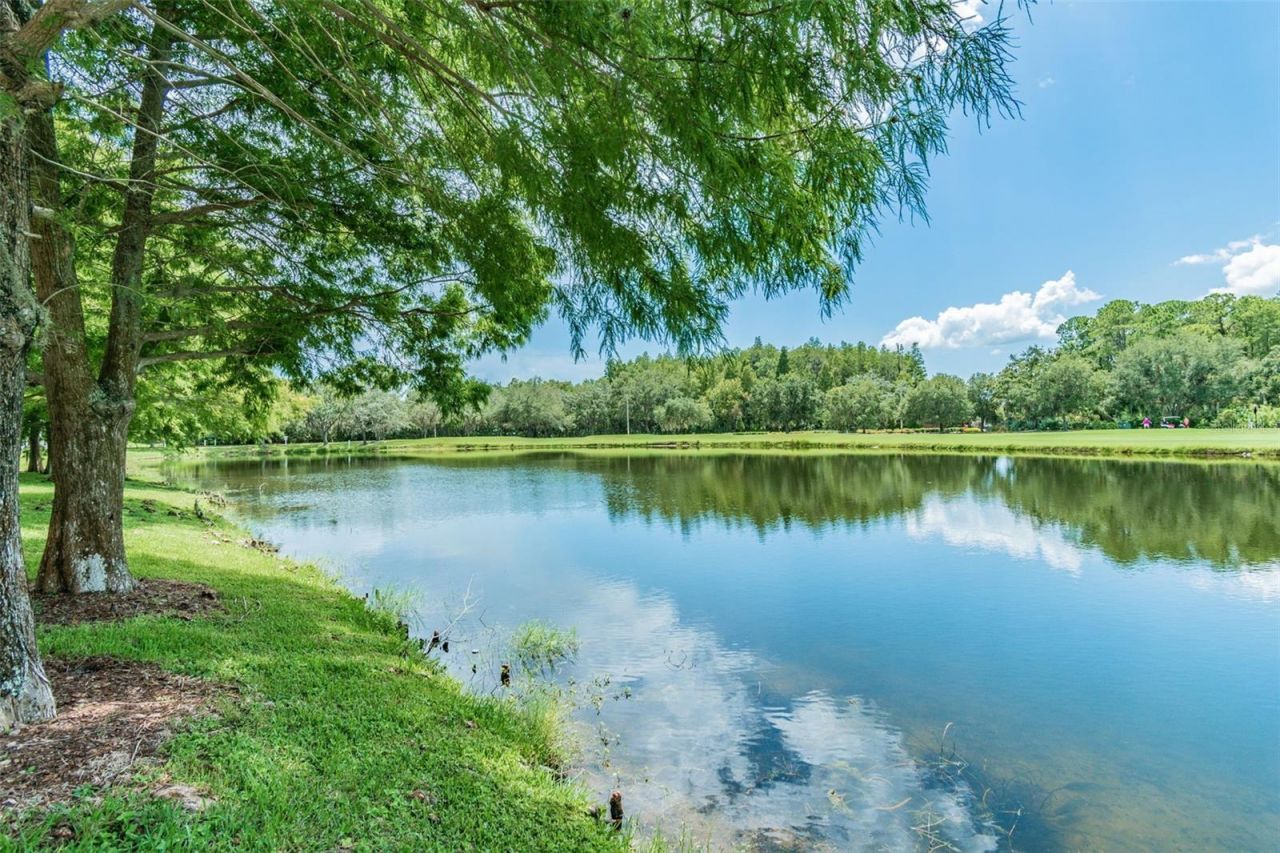 10526 Greencrest Drive, Tampa, FL 33626 Photo