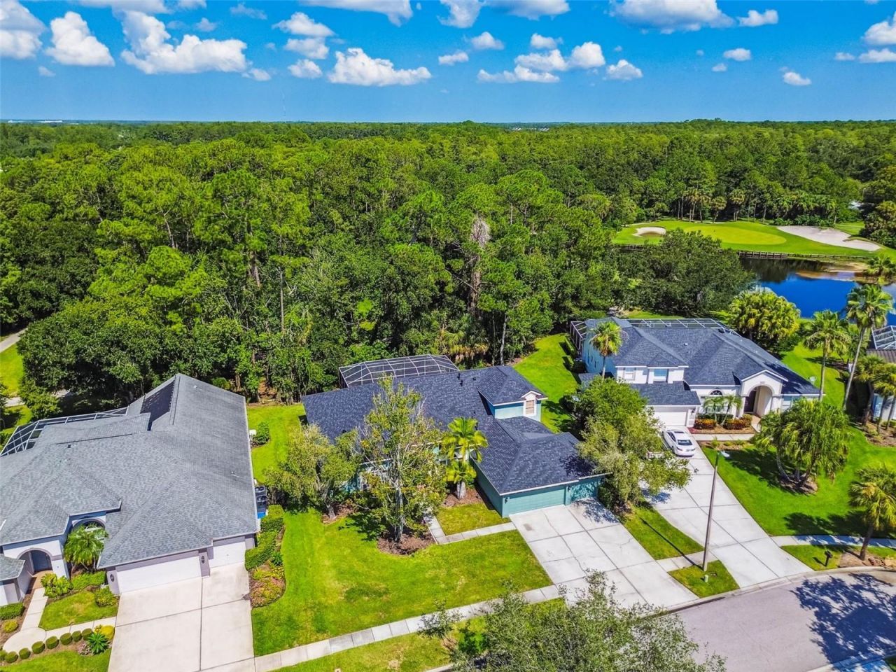 10526 Greencrest Drive, Tampa, FL 33626 Photo