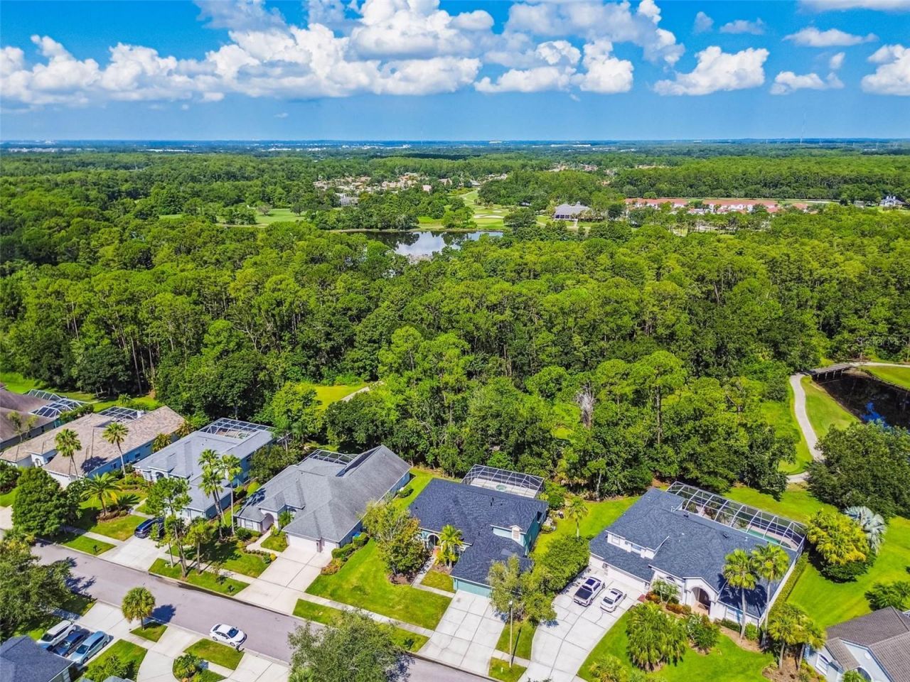 10526 Greencrest Drive, Tampa, FL 33626 Photo