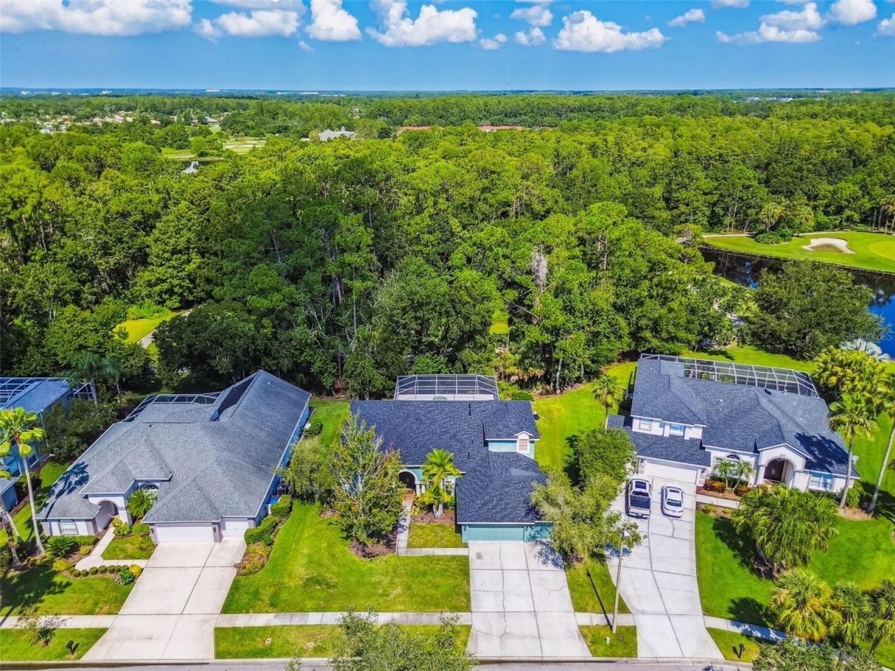 10526 Greencrest Drive, Tampa, FL 33626 Photo