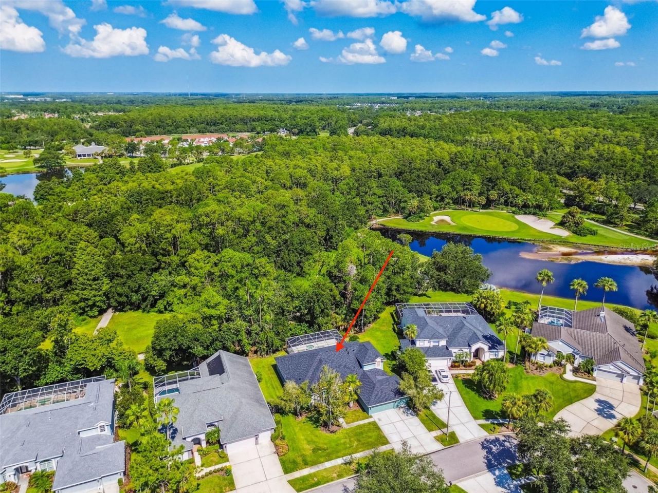 10526 Greencrest Drive, Tampa, FL 33626 Photo