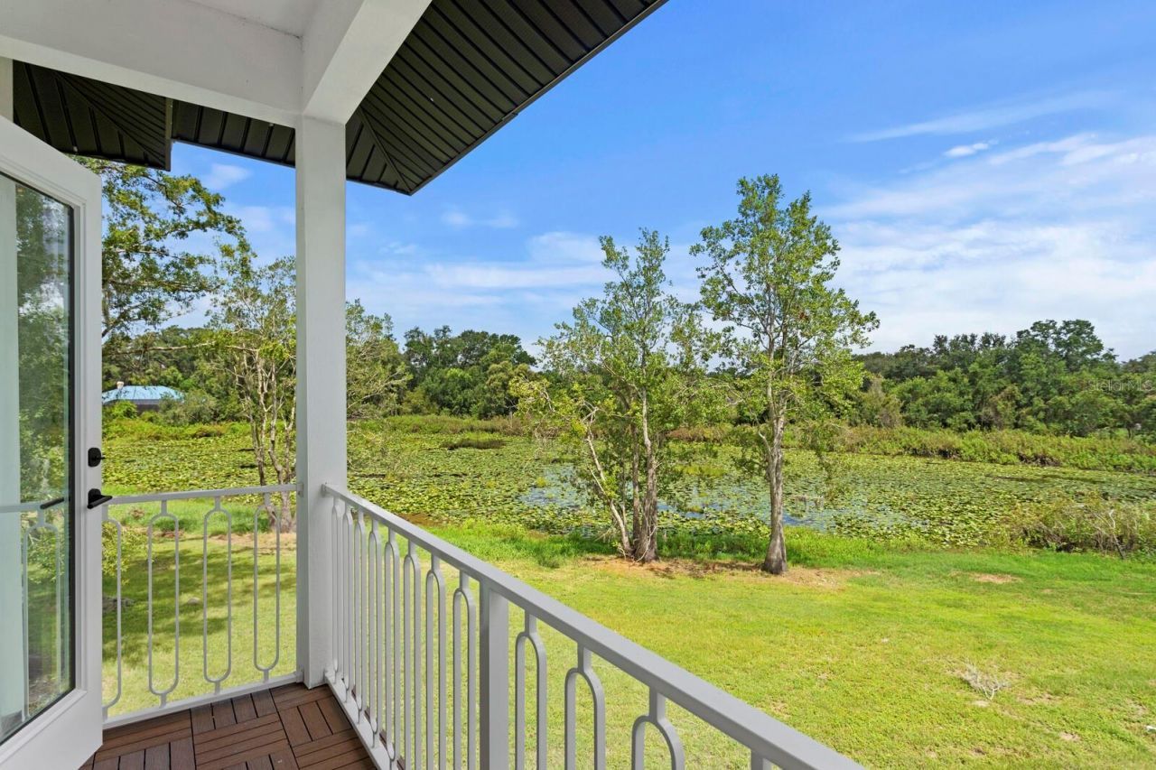 2202 Newberger Road, Lutz, FL 33549 Photo