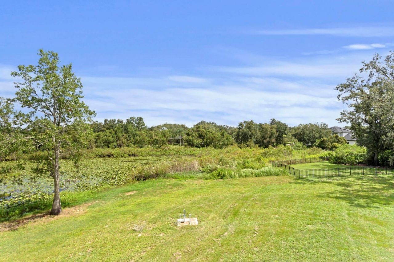 2202 Newberger Road, Lutz, FL 33549 Photo