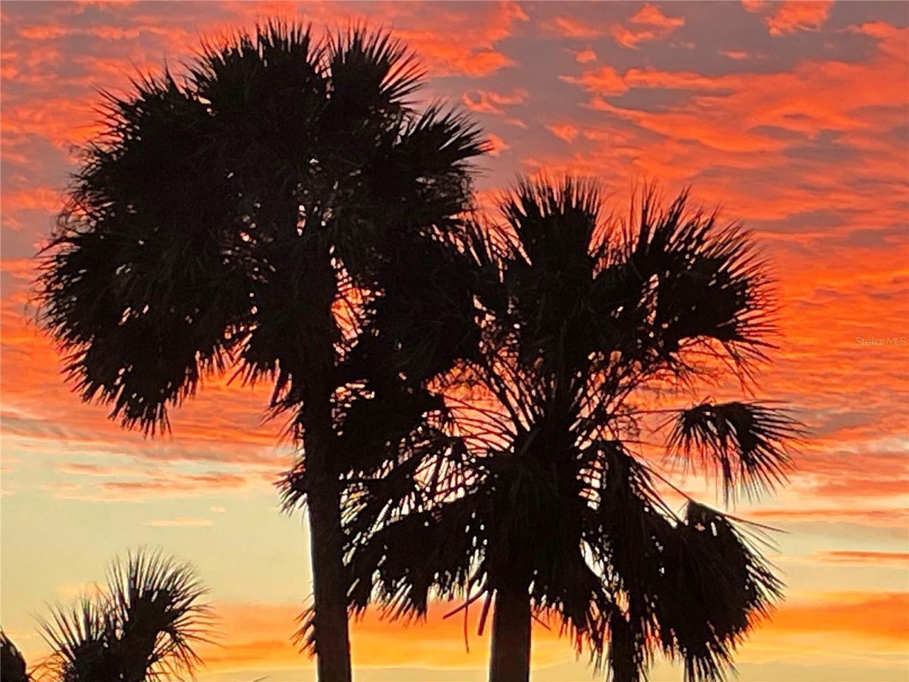 425 Cerromar Terrace, Unit 359, Venice, FL 34293 Photo