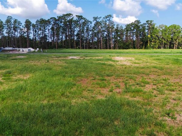 19319 DIMPLE DRIVE, ODESSA, FL 33556