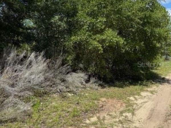 111 S DAKOTA STREET, HAWTHORNE, FL 32640