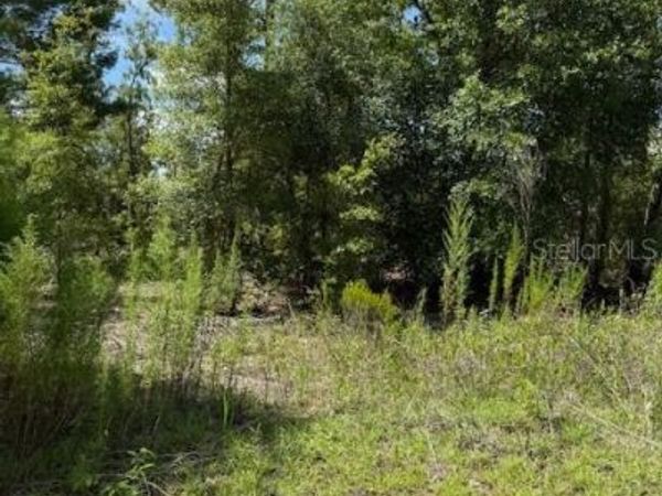 113 S DAKOTA STREET, HAWTHORNE, FL 32640