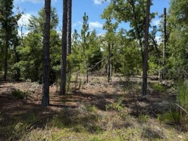 115 S DAKOTA STREET, HAWTHORNE, FL 32640