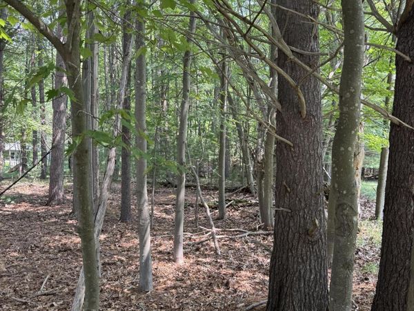 vl 3rd Avenue, Pentwater, MI 49449