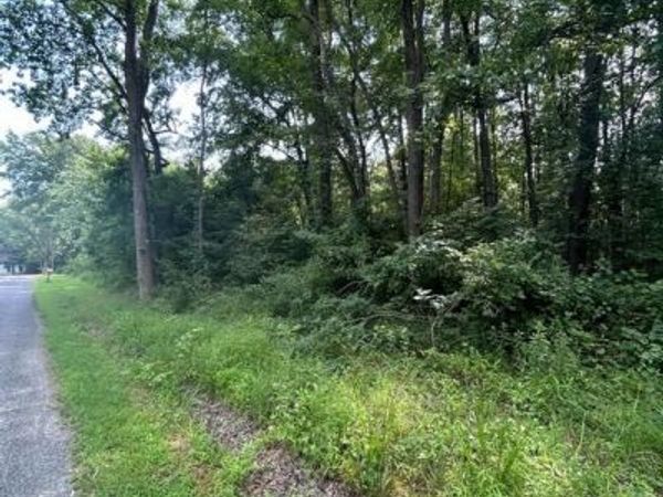 CHESTERVILLE FOREST ROAD, Unit PARCEL 60, MILLINGTON, MD 21651