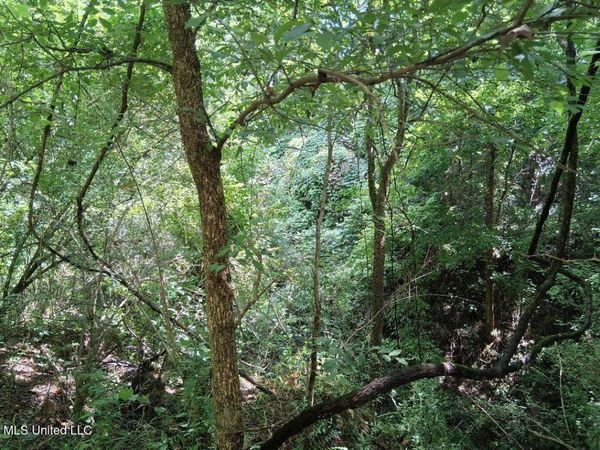 N Azalea Lane, Natchez, MS 39120