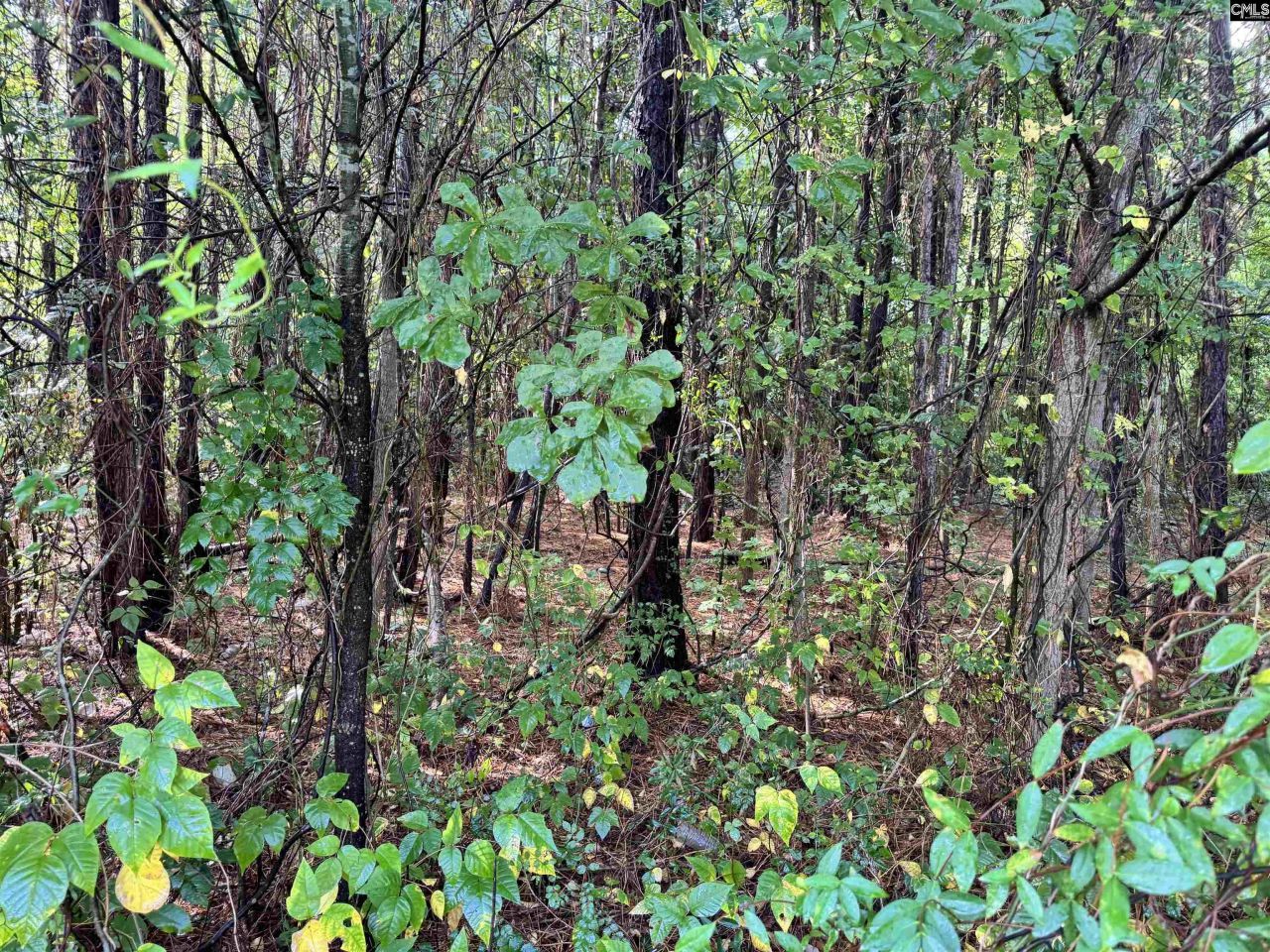 1906 Medfield Drive Photo 6