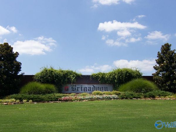 13230 Saint Andrew Drive, Athens, AL 35611